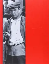 La collection du Musée national Picasso, Paris (en anglais)