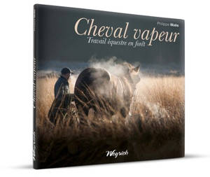 Cheval vapeur : travail équestre en forêt