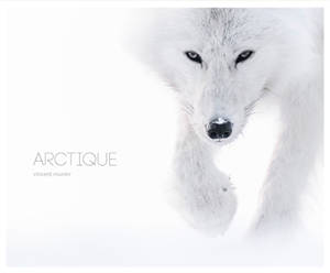 Arctique