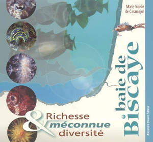 Baie de Biscaye : richesse et diversité méconnue