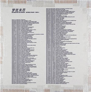 Yang Li and Antoine d´Agata : Too Much But Not Enough (English / Mandarin edition) : Limited edition of 300