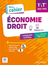 Economie, droit 1re & terminale bac pro : le programme en 50 fiches : tout pour réussir l'épreuve