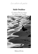 Ce pays d'où tu viens. Les galets de l'oubli