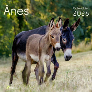 Anes : calendrier 2026