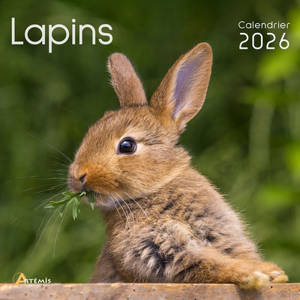 Lapins : calendrier 2026 : de septembre 2025 à décembre 2026