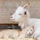 Chat & ses amis : calendrier 2026 : de septembre 2025 à décembre 2026