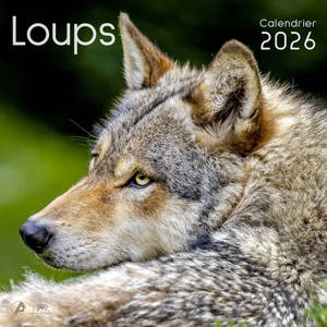 Loups : calendrier 2026 : de septembre 2025 à décembre 2026