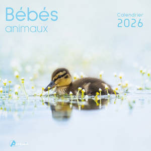 Bébés animaux : calendrier 2026