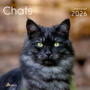 Chats : calendrier 2026 : de septembre 2025 à décembre 2026