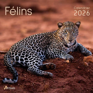 Félins : calendrier 2026 : de septembre 2025 à décembre 2026