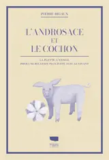 L'androsace et le cochon