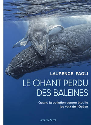 Le chant perdu des baleines : quand la pollution sonore étouffe les voix de l'océan