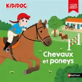 Chevaux et poneys