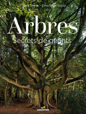 Arbres : secrets de géants