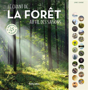 Le chant de la forêt au fil des saisons : 21 ambiances à écouter