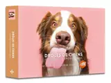 Agenda : Calendrier Drôles de chiens 2026