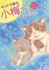 Plum, un amour de chat. Vol. 22