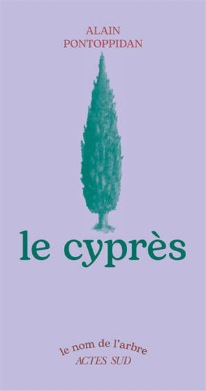 Le cyprès