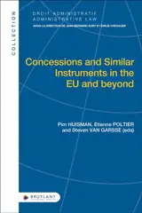 Concessions and similar instruments in the EU and beyond