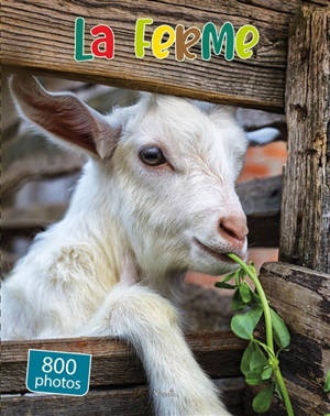 La ferme : 800 photos