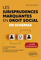 Les jurisprudences marquantes en droit social en schémas