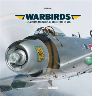 Wardbirds : les avions militaires de collection en vol