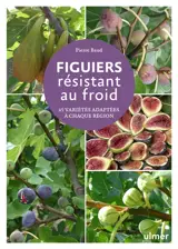 Figuiers résistant au froid