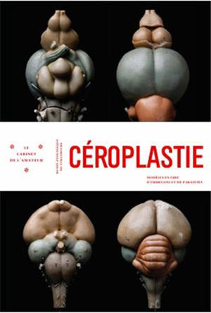 Céroplastie : modèles en cire de cerveaux, d'embryons et de parasites