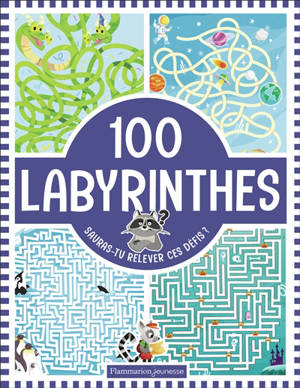 100 labyrinthes : sauras-tu relever ces défis ?