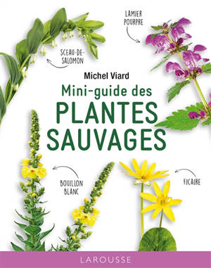 Mini-guide des plantes sauvages
