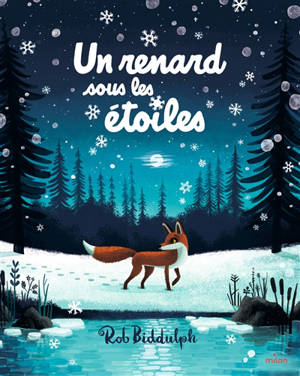 Un renard sous les étoiles