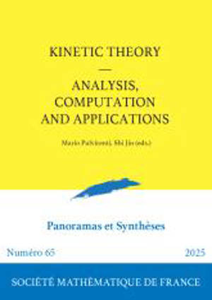 Panoramas et synthèses, n° 65. Kinetic theory : analysis, computation ans applications