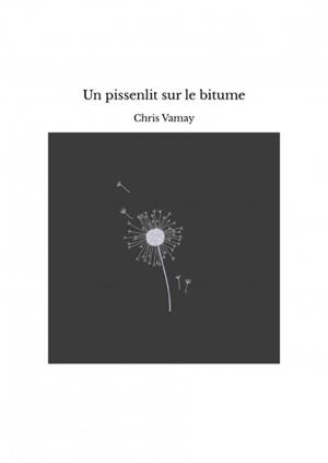 Un pissenlit sur le bitume