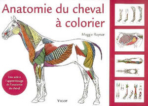 Anatomie du cheval à colorier : une aide à l'apprentissage de l'anatomie du cheval