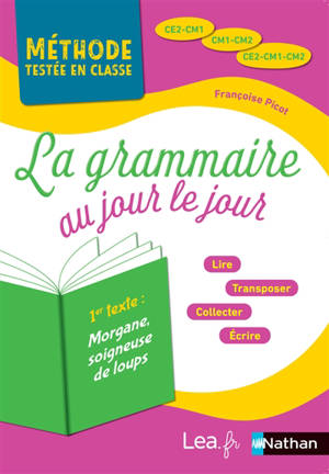 La grammaire au jour le jour, CE2, CM1, CM2 : 2019, année 2