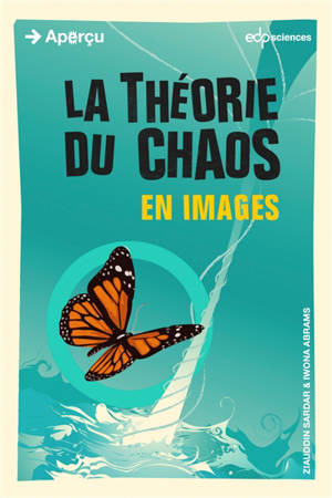 La théorie du chaos en images