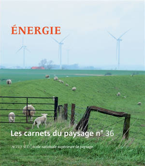 Carnets du paysage (Les). n° 36, Energie