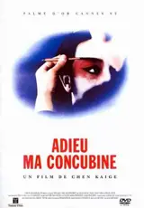 DVD Adieu ma concubine