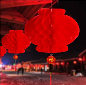 Moyenne lanterne rouge "nid d'abeille" (lot de 10) | 佳妍 灯笼 塑纸灯笼 蜂窝灯笼23cm