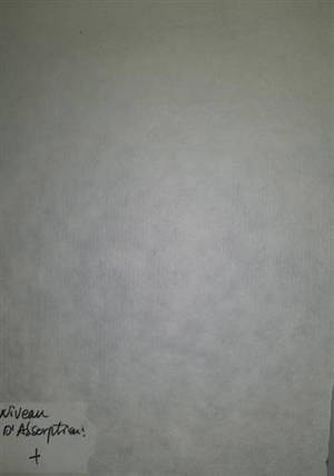 Papier XP-303AA | 四尺A级洁白玉版精制特净皮 