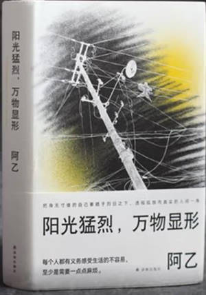 阳光猛烈,万物显形 | Yangguang menglie, wanwu xianxing