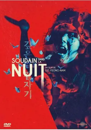 SOUDAIN DANS LA NUIT - DVD