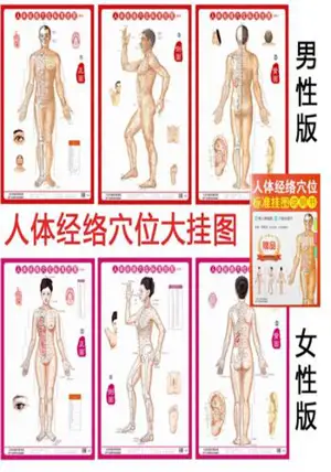 人体经络穴位标准挂图 (男性 女性) (3张) | Affiches acupuncture : Homme et Femme (3 affiches par genre, en chinois)