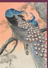 Carte double 120x170 Two Peacocks