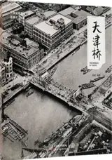 天津桥 (天津城市景观丛书) | The Bridges in Tianjin (Chinese Edition) | Tianjin qiao