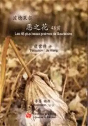 Les 48 plus beaux poèmes de Baudelaire (bilingue chinois-français) | 恶之花 48首