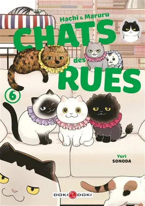 Hachi & Maruru : chats des rues. Vol. 6