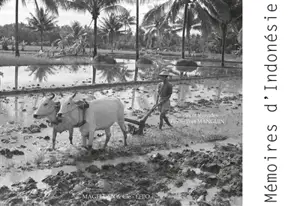 Mémoires d'Indonésie