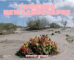 Towards New Landscapes