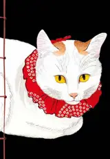 Tama (détail) de Takahashi Shotei : carnet gaufré